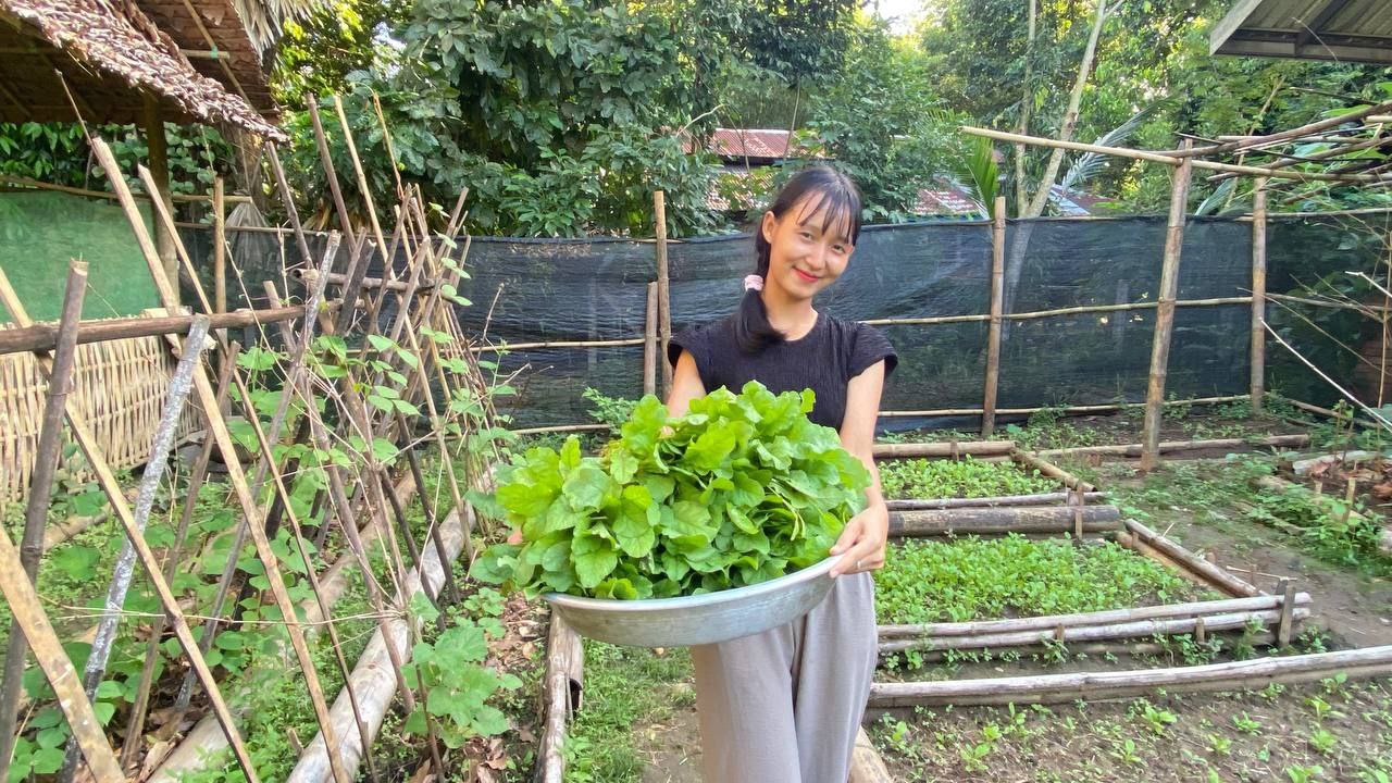 School Garden